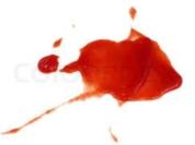 Tomatenketchup - Rezept
