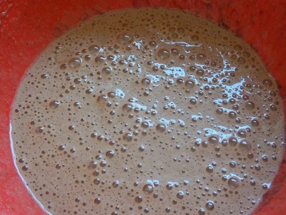 Dessert: Schoko-Waffeln mit Erdbeer-Mango-Salat - Rezept - Bild Nr. 2