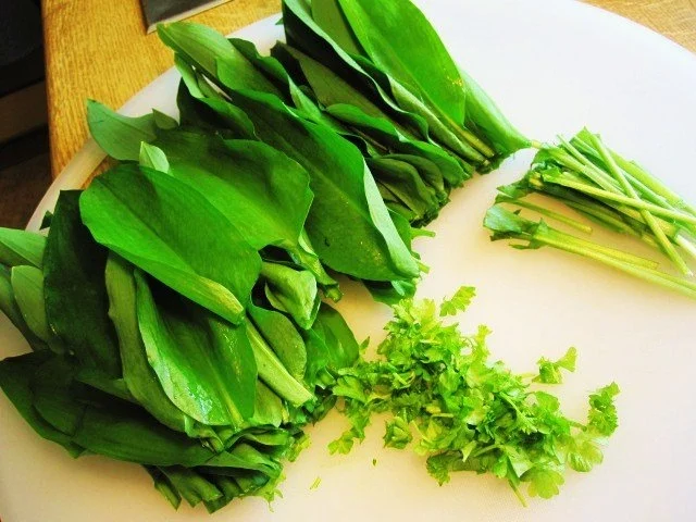 Pesto mit Bärlauch ... - Rezept - Bild Nr. 3