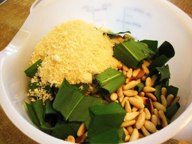 Pesto mit Bärlauch ... - Rezept - Bild Nr. 5