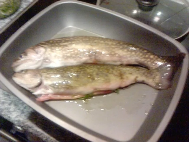 Rezept: Tedesco char respirato in Mediterraneo Deutscher Saibling mediterran angehaucht Bild Nr. 3 Tedesco char respirato in Mediterraneo Deutscher Saibling mediterran angehaucht - Rezept - Bild Nr. 3