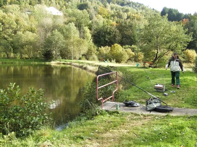 Schnelle Forelle und Kartoffeln - Rezept