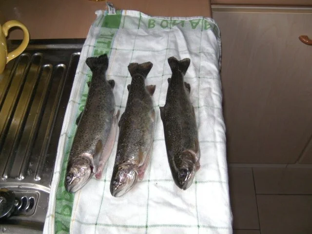 Schnelle Forelle und Kartoffeln - Rezept - Bild Nr. 3