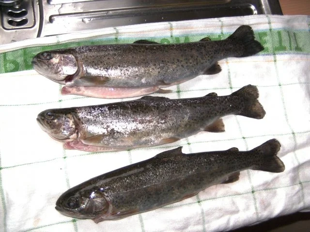 Schnelle Forelle und Kartoffeln - Rezept - Bild Nr. 4