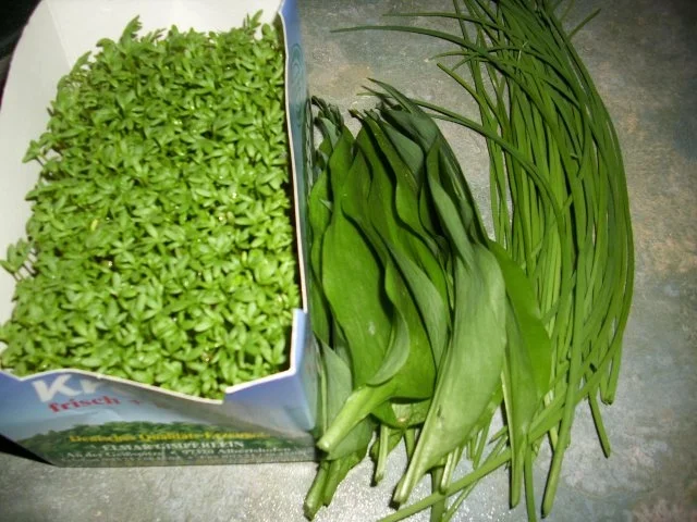 Rezept: Joghurt-Dressing ... Bild Nr. 3 Joghurt-Dressing ... - Rezept - Bild Nr. 3