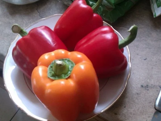 Rezept: Melanie´s gefüllte Paprikaschoten Bild Nr. 5 Melanie´s gefüllte Paprikaschoten - Rezept - Bild Nr. 5