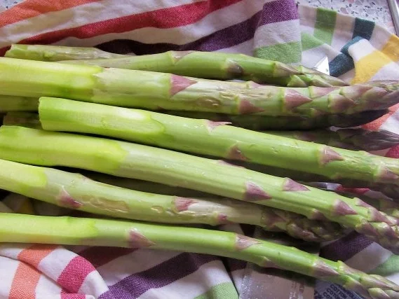 Spargel-Auflauf mit Hack und Kartoffeln - Rezept - Bild Nr. 2