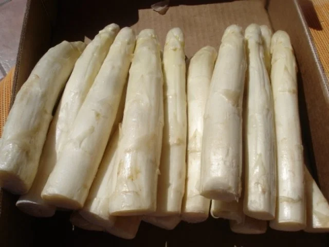 Spargel mit westfälischen Knochenschinken, Pilzkartoffeln und zerlassener Butter - Rezept - Bild Nr. 2