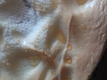 Rezept: Gold-Troepfchen-Torte Bild Nr. 2 Gold-Troepfchen-Torte - Rezept - Bild Nr. 2