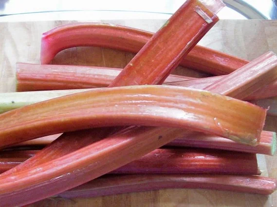 Rezept: Fruchtig-scharfes Rhabarber-Chutney Bild Nr. 2 Fruchtig-scharfes Rhabarber-Chutney - Rezept - Bild Nr. 2