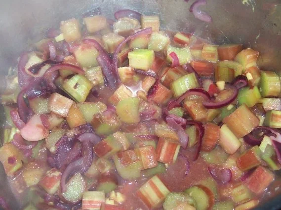 Rezept: Fruchtig-scharfes Rhabarber-Chutney Bild Nr. 6 Fruchtig-scharfes Rhabarber-Chutney - Rezept - Bild Nr. 6