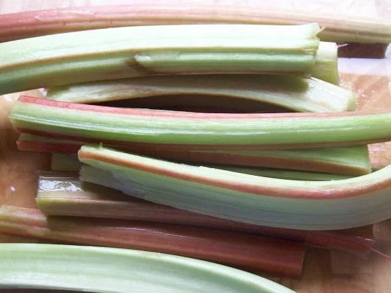 Rhabarber-Kompott klassisch - Rezept - Bild Nr. 2