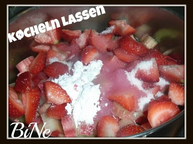 Rezept: BiNe` S RHABARBER - ERDBEER - KOMPOTT Bild Nr. 3 BiNe` S RHABARBER - ERDBEER - KOMPOTT - Rezept - Bild Nr. 3