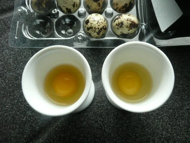 Tapas /Pochiertes Wachtelei mit Krabben - Rezept - Bild Nr. 3