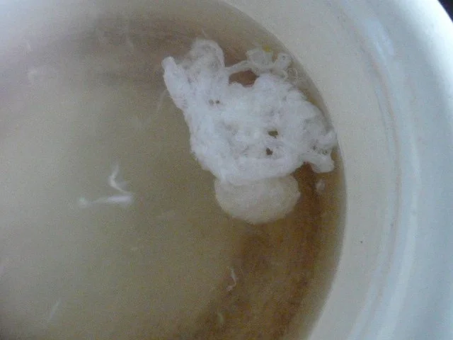 Tapas /Pochiertes Wachtelei mit Krabben - Rezept - Bild Nr. 4