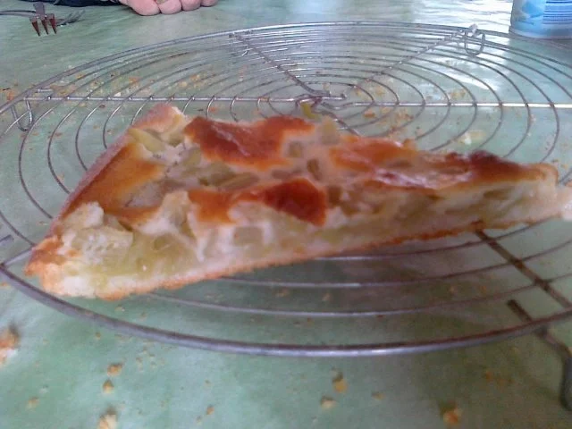 Rhabarber-Kuchen mit Guss - Rezept - Bild Nr. 25