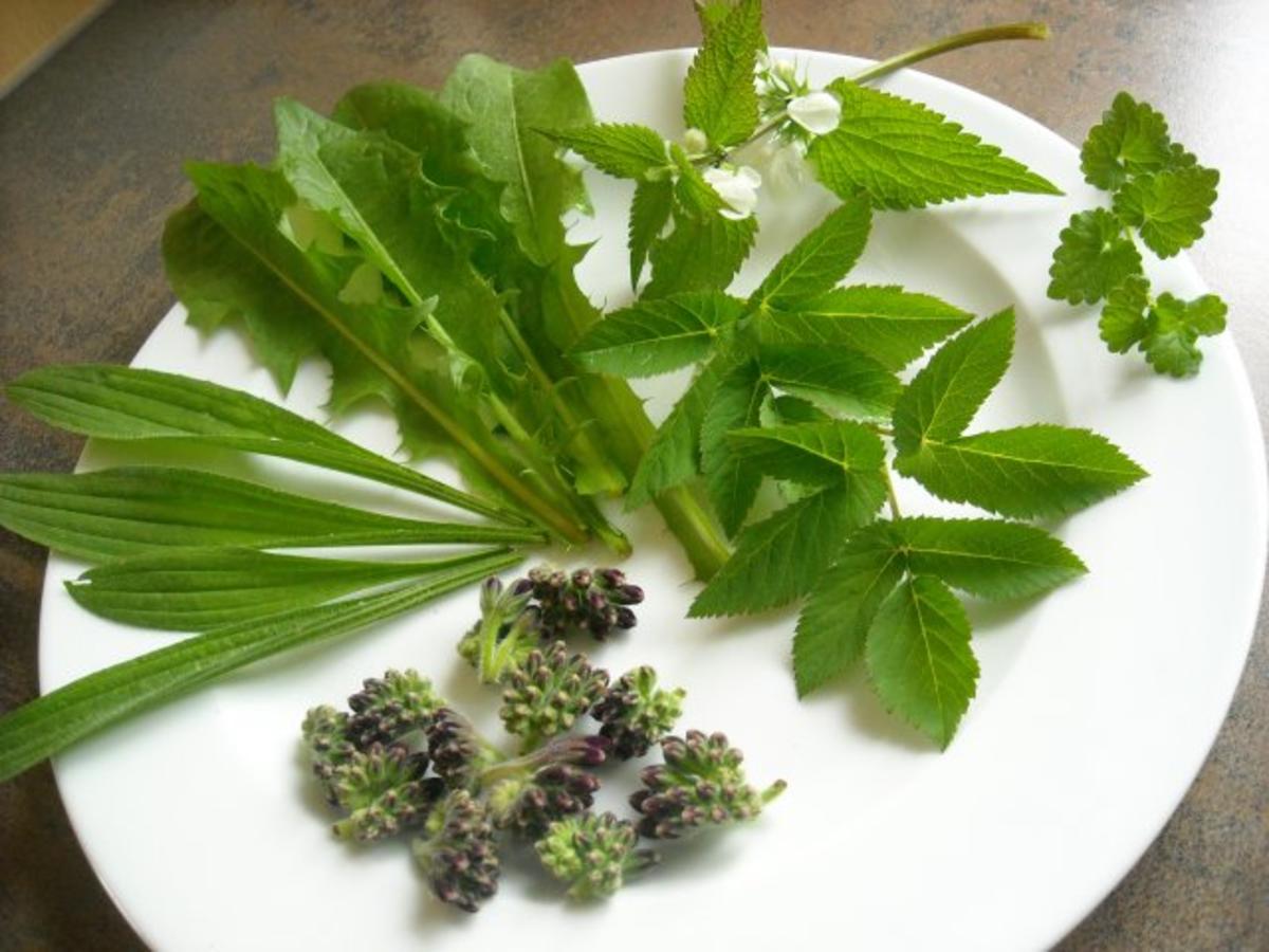 Salat mit Beinwell-Blütenknospen und Wildkräuter-Dressing - Rezept - Bild Nr. 3