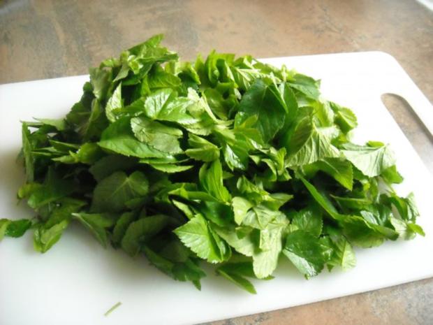 Giersch - Pesto - Rezept mit Bild - kochbar.de