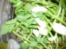 Rucolapesto - Rezept