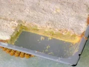 Rhabarberkuchen mit Mandelbaiser - Rezept