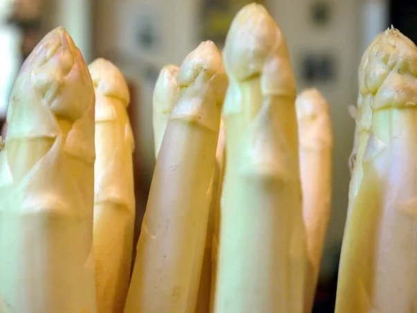 Orangen-Spargel - Rezept - Bild Nr. 2