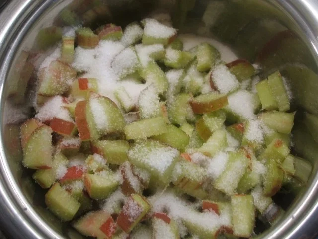 Rezept: Dessert: Flammeri mit Rhabarber Bild Nr. 4 Dessert: Flammeri mit Rhabarber - Rezept - Bild Nr. 4