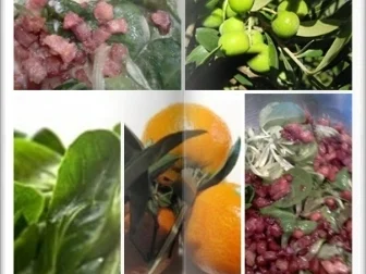 Feldsalat in schaumiger Umgebung - Rezept - Bild Nr. 14