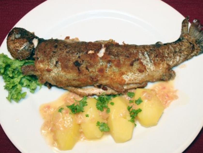 Gebratene Forelle Mit Salzkartoffeln Und Gr Nem Salat Rezept Kochbar De