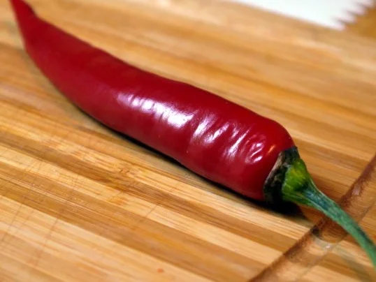 Tomaten-Mango-Sauce - Rezept - Bild Nr. 4