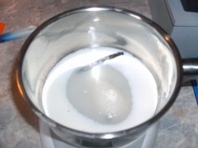 Melonen-Straciatella-Eis - Rezept - Bild Nr. 3