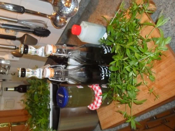 Rezept: waldmeister-sirup, gelee, bowle, bier--echt lecker!! Bild Nr. 2 waldmeister-sirup, gelee, bowle, bier--echt lecker!! - Rezept - Bild Nr. 2