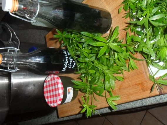 Rezept: waldmeister-sirup, gelee, bowle, bier--echt lecker!! Bild Nr. 3 waldmeister-sirup, gelee, bowle, bier--echt lecker!! - Rezept - Bild Nr. 3