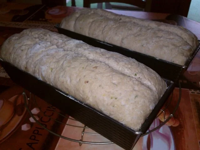 Nussbrot aus dem Kasten - Rezept - Bild Nr. 4