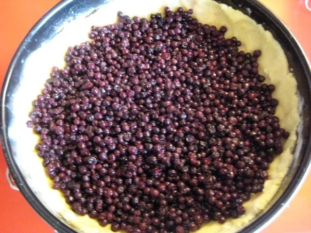 Heidelbeerkuchen - Rezept - Bild Nr. 6