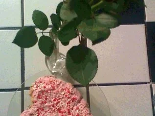 Himbeer - Sahne - Torte - Rezept