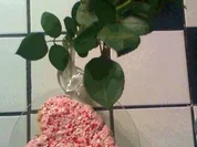 Himbeer - Sahne - Torte - Rezept