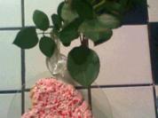 Himbeer - Sahne - Torte - Rezept