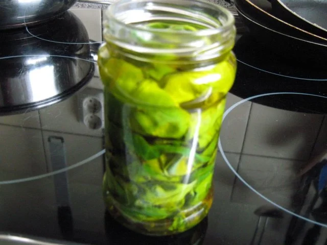 Rezept: Basilikumöl Basilikumöl - Rezept