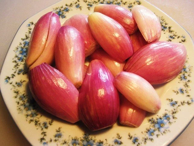 Entenbrust mit kleinen Schalotten ... - Rezept - Bild Nr. 3