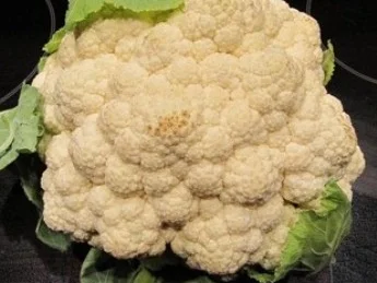 Blumenkohl Kartoffeltürmchen - Rezept - Bild Nr. 8