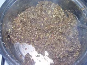 Haselnussfüllung - Rezept