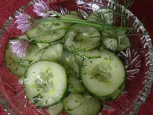 Gurkensalat ... - Rezept