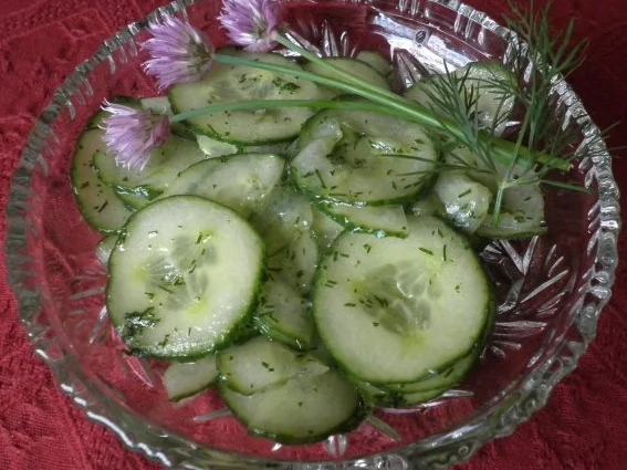 Rezept: Gurkensalat ... Bild Nr. 5 Gurkensalat ... - Rezept - Bild Nr. 5