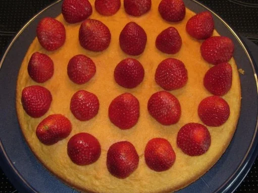 Erdbeer-Philadelphia-Kuchen - Rezept - Bild Nr. 3