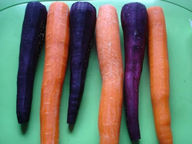 Rezept: Möhrenblütengemüse mit Zwiebeln Bild Nr. 3 Möhrenblütengemüse mit Zwiebeln - Rezept - Bild Nr. 3