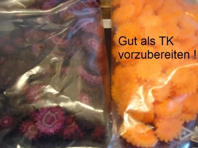 Rezept: Möhrenblütengemüse mit Zwiebeln Bild Nr. 7 Möhrenblütengemüse mit Zwiebeln - Rezept - Bild Nr. 7