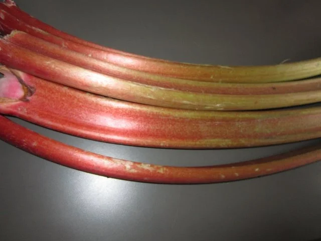 Rezept: Rhabarber-Bleckuchen mit Nüssen & Baiser Bild Nr. 3 Rhabarber-Bleckuchen mit Nüssen & Baiser - Rezept - Bild Nr. 3