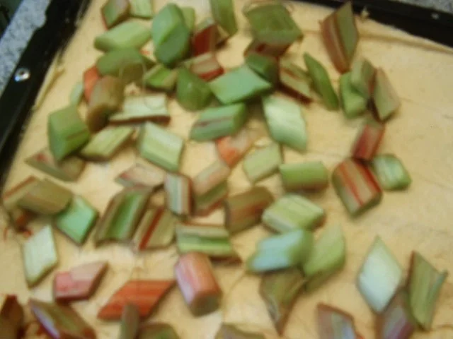 Rhabarberkuchen - Rezept - Bild Nr. 8