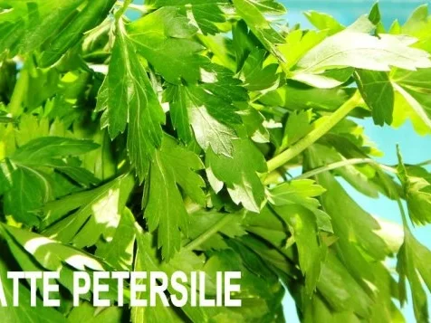 Risotto-Radicchio-Vino-Rosso - Rezept - Bild Nr. 10