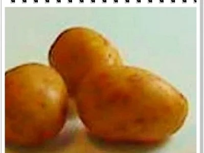 Rezept: ♣ Kartoffel-Ei Türmchen mit Blattspinat ♣ Bild Nr. 7 ♣ Kartoffel-Ei Türmchen mit Blattspinat ♣ - Rezept - Bild Nr. 7